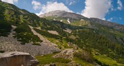 Bansko Summers