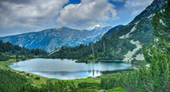 Pirin National Park